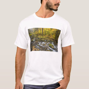 T-shirt Sanderson Brook.  Floresta Estadual Chester-Blanfo