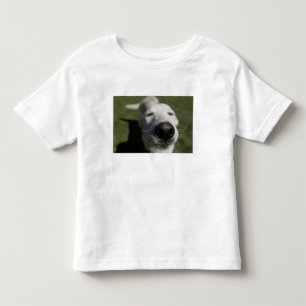T-shirt Santa Fé, Novo México