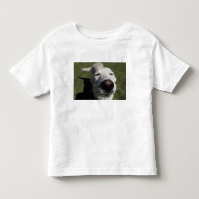 T-shirt Santa Fé, Novo México (Frente)