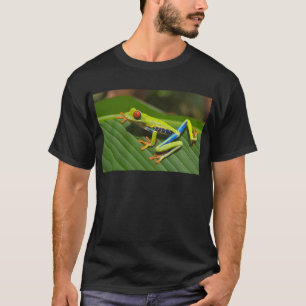 T-shirt Sapo de árvore