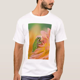 T-shirt Sapo de árvore do Pacífico em flores em nosso jard