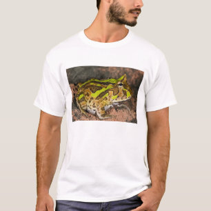 T-shirt Sapo de Corno Brasileiro, Ceratophrys cornuta, Nat