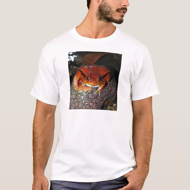 T-shirt Sapo do tomate (Frente)