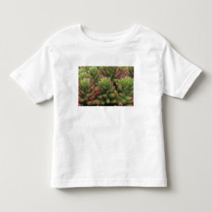 T-shirt Sedum Plant, Arizona-Sonora Desert Museum,