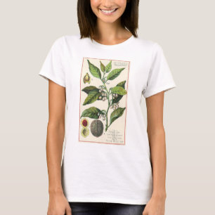T-shirt Sementes De Frutas De Plantas Vintage Nutmeg, Plan