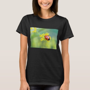 T-shirt senhora no topo