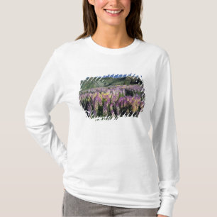 T-shirt SERRA DE JARBIDGE, NEVADA. EUA. Lupino-espigão
