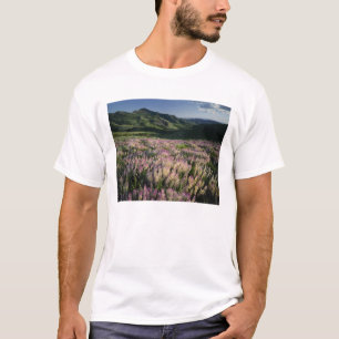 T-shirt Serra e Jarbridge Wilderness, Nevada, Esporão