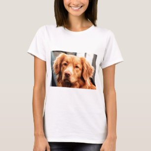 T-shirt Setter irlandês
