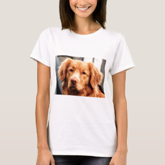 T-shirt Setter irlandês