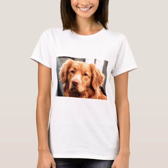 T-shirt Setter irlandês (Frente)