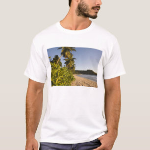 T-shirt Seychelles, Ilha de Mahe, praia de Anse Takamaka,