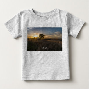 T-shirt Shed Colorado Sunset Toddler Abandonada