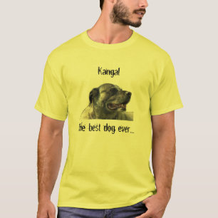 T-shirt shirt com kangal