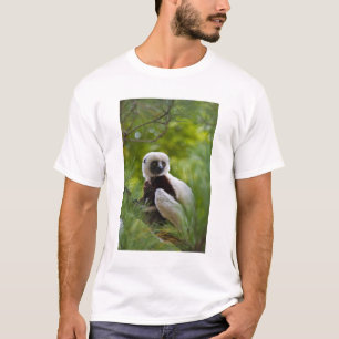 T-shirt Sifaka de Coquerel na floresta 2