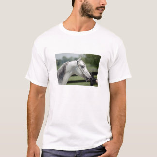 T-shirt Silverstone Shamal