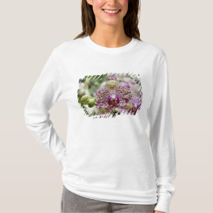 T-shirt Singapura (Sânscrito para Cidade do Leão). Naciona