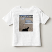 Sistema de iluminação solar do dia