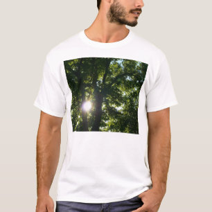 T-shirt Sol brilhando por árvores