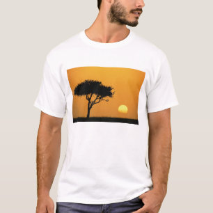 T-shirt Solteiro Acacia tree silhuetado ao nascer do sol, 