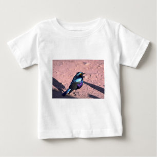 T-shirt Starling lustroso Azul-Orelhudo