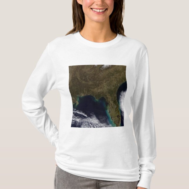 T-shirt Sudeste dos Estados Unidos (Frente)