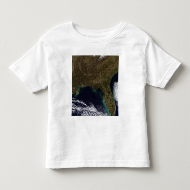 T-shirt Sudeste dos Estados Unidos (Frente)