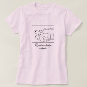 T-shirt Sulcata Tortoise Shirt (caixa, preto)