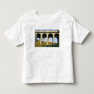 T-shirt Suportes em arco da Patterson Memorial Bridge
