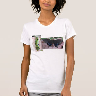 T-shirt Swallowtail preto Caterpillar/tshirt