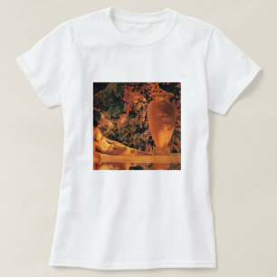 T-shirt T-shirt: Jardim de Allah Maxfield Parrish