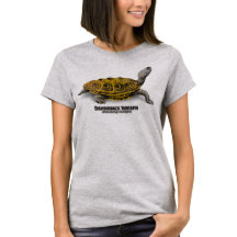 Tartaruga de água doce de Diamondbacks (tartaruga