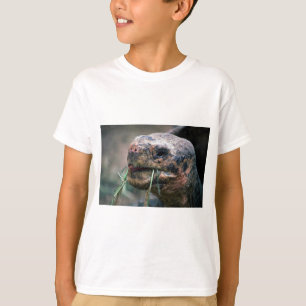 T-shirt Tartaruga de Galápagos, Ilhas Galápagos