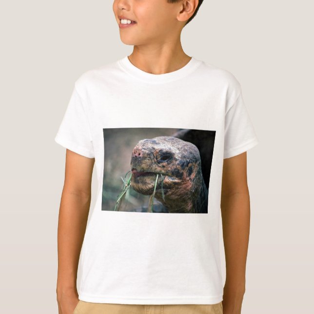 T-shirt Tartaruga Galápagos, Ilhas Galápagos (Frente)
