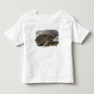 T-shirt Tartaruga Gigante de Galápagos Geochelone