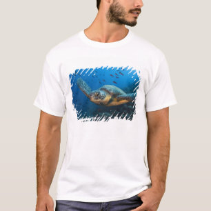 T-shirt Tartaruga Preta (Verde) (Chelonia agassizi)