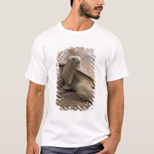 T-shirt Tartaruga terrestre de Aldabra de Seychelles