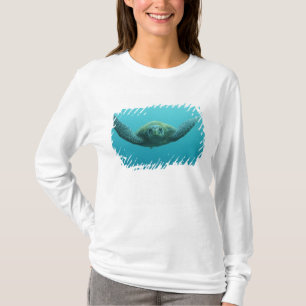 T-shirt Tartaruga Verde (Chelonia mydas agassisi), Central