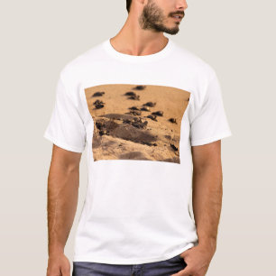 T-shirt Tartarugas de mar