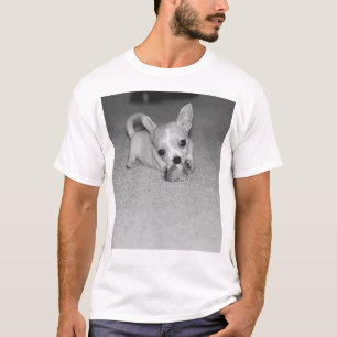 T-shirt Telula a chihuahua!!