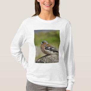 T-shirt Tentilhão-comum-macho (WILD: Fringilla coelebs)