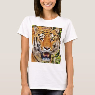 T-shirt Tigre