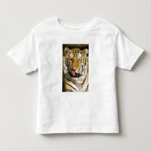 T-shirt Tigre Zoológico de Michigan