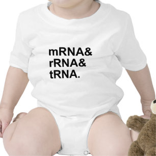T-shirt tipos do tRNA do rRNA do mRNA de RNA