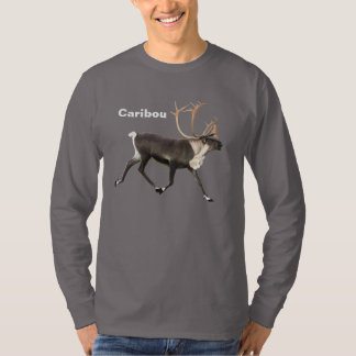 T-shirt Touro Cariou