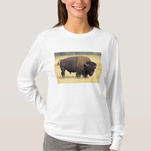 T-shirt Touro de Bisão no Parque Nacional de Yellowstone