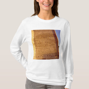 T-shirt Touros selvagens de caça de Ramesses III
