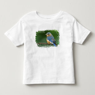 T-shirt Toutinegra-azul-fêmea, Sialia sialis