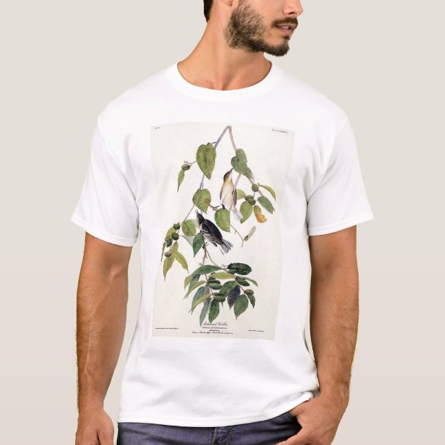 T-shirt Toutinegra outonal (Frente)