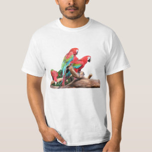 T-shirt três papagaios coloridos